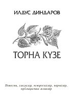 Торна күзе. (Повесть, хикәяләр, юморескалар, парчалар, публицистик язмалар)