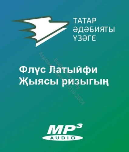 Флүс Латыйфи - Җыясы ризыгың