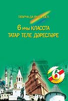 Укытуны татар теле 6 нче сыйныфта. (Методик кулланма өчен гомуми белем бирү оешмалары укыту рус теле