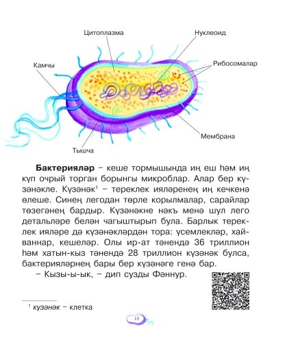 Сәлам, микроб! фото 6