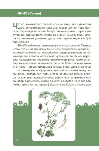 Татарстанның яшел аптекасы. Зелёная аптека Татарстана фото 5