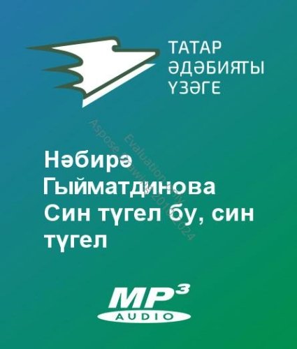 Нәбирә Гыйматдинова - Син түгел бу, син түгел