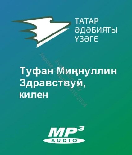 Туфан Миңнуллин - Здравствуй, килен