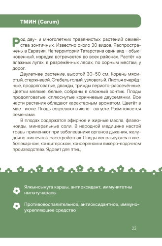 Татарстанның яшел аптекасы. Зелёная аптека Татарстана фото 6