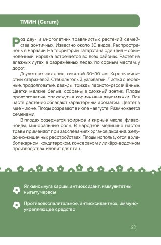 Татарстанның яшел аптекасы. Зелёная аптека Татарстана фото 6